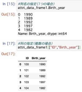 pandas 配列指定